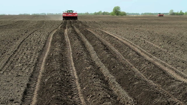 Modern tractor planting potatoes in the spring