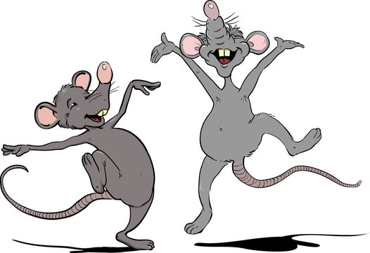 Happy dancing rats. Dansande glada r&aring;ttor