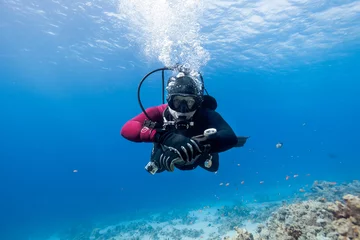  Scuba-duiker drijvend over koraalrif in de rode zee en kijkend naar de camera. © zavgsg