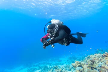 Gardinen Tauchen Scuba diver floating over coral reef in the Red Sea.  © zavgsg
