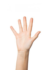 close up of hand showing five fingers