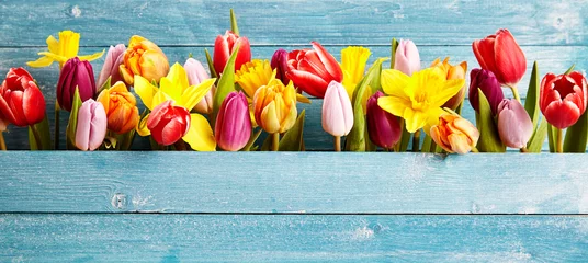 Fotobehang Kleurrijk arrangement van verse lentebloemen © exclusive-design