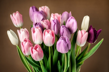 Naklejka premium Colorful tulips close-up