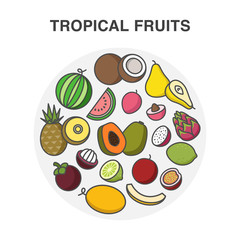 Tropical fruits in a circle composition made in line art style.