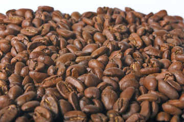 Close up beans on a white background