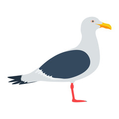 seagull vector illustration. seagull cartoon  isolated on white background.