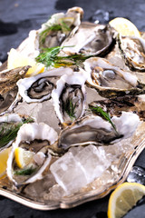 Frische Austern 