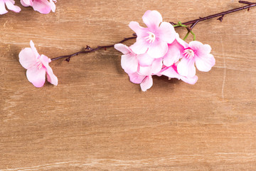 Plastic sakura on wood