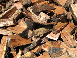 Tas de bûches en bois de mélèze