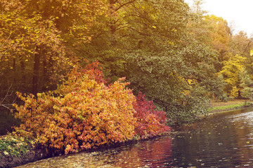 Lake in the autumn park