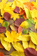 Autumn leaves on the wooden background