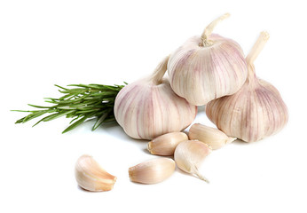 Garlic isolated on white