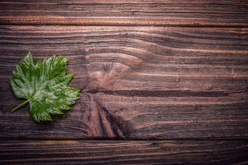 leaf on a wooden board