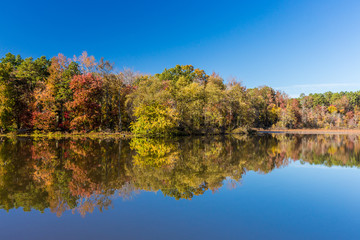 Fototapeta premium Arkansas fall landscape and lake in Petit Jean state park