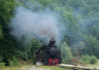 retro wood-burning locomotive