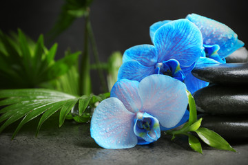 Beautiful spa composition with blue orchid and stones