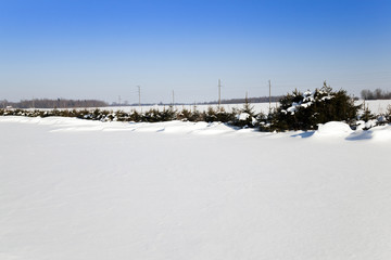 snow covered field  