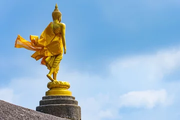 Crédence de cuisine en verre imprimé Bouddha Big Buddha walk action statue on the mountain with sky