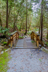 Fragment of gorgeous trail in West Vancouver Park, Canada.