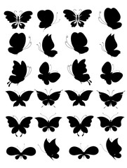 Fototapeta premium butterflies design
