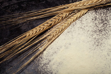 Wheat ears and sprinkle flour on black background. Toned