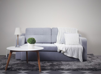 Interior with grey sofa and modern table