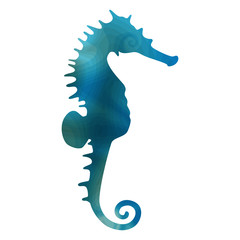 styled seahorse © maya_p38