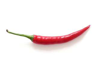 One single red hot chili pepper isolated on a white background