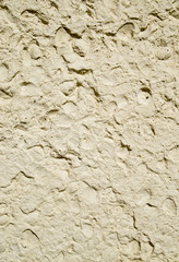 Decorative plaster imitation shells limestone