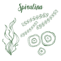 Spirulina superfood organic healthy dietary supplement. Hand drawn sketch vector illustration isolated on white background