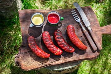 Red hot sausages with spices and rosemary in garden