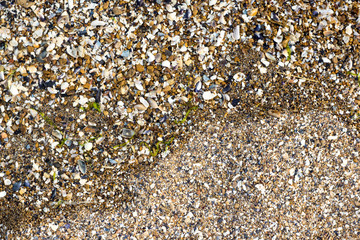 Shell and pebble stone for background texture