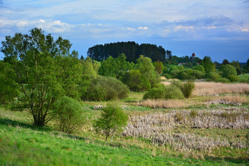 Fototapeta na wymiar Wild spring landscape with marshland