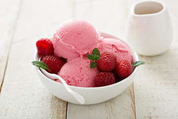 Raspberry ice cream in white bowl