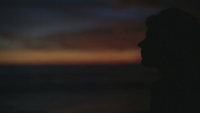  woman looking at sunset on the beach