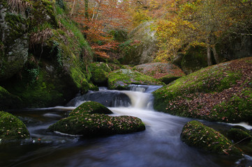 F, Bretagne, Finist&egrave;re, Wald von Huelgoat, sanftes, glattes Wasser eine Baches im Herbstwald, M&auml;rchenwald, Zauberwald