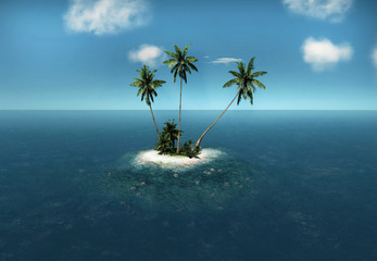  tropical island palm trees