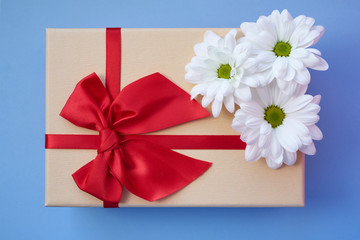 gift box on light blue background