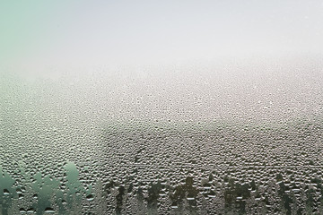 misted window; after rain (shallow DOF)