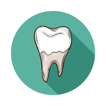 Tooth icon.Vector Tooth icon isolated with shadow.Hand draw Tooth vector.Vector  human Tooth icon isolated on background with shadow