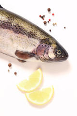 fish and citrus