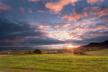 Obraz premium First rays of sun in a cereal field