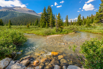 Majestic mountain river in Canada.