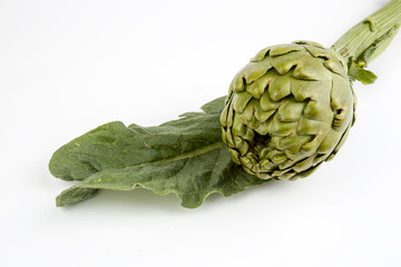 Obraz premium Enginar