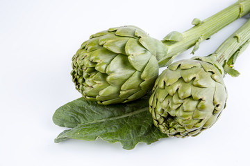 Obraz premium Enginar