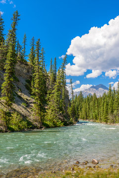 Fragment of Five Lakes trail in Jasper, Alberta, Canada.