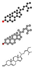 Beta-sitosterol phytosterol molecule.