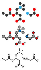 GPLC (glycine propionyl-L-carnitine) nutritional supplement molecule