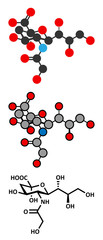N-glycolylneuraminic acid (Neu5Gc) molecule. 