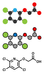 Triclopyr herbicide (broadleaf weed killer) molecule.